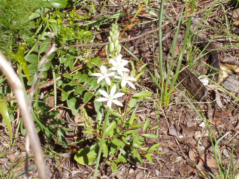 image27