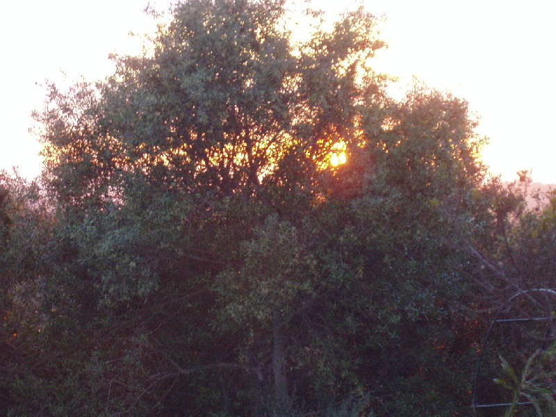 image30